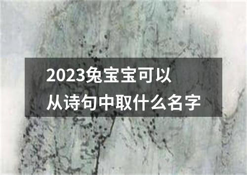 2023兔宝宝可以从诗句中取什么名字