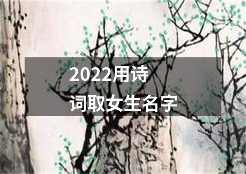 2022用诗词取女生名字