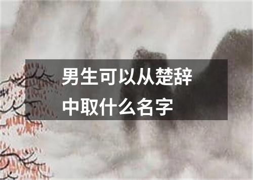 男生可以从楚辞中取什么名字