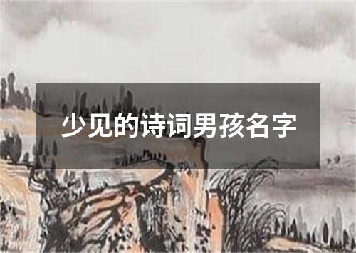 少见的诗词男孩名字