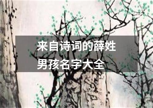 来自诗词的薛姓男孩名字大全