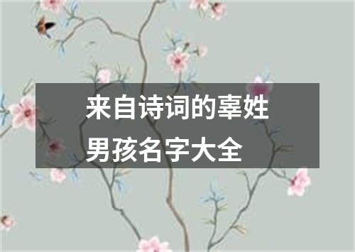 来自诗词的辜姓男孩名字大全