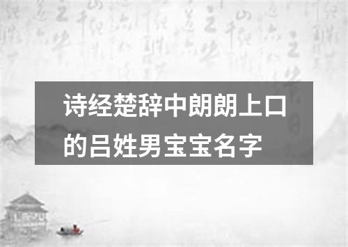 诗经楚辞中朗朗上口的吕姓男宝宝名字