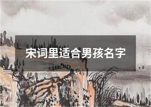 宋词里适合男孩名字