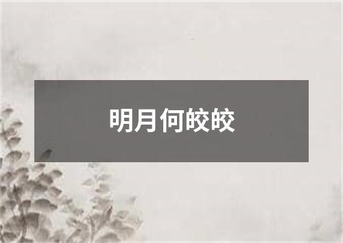 明月何皎皎