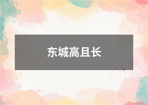 东城高且长