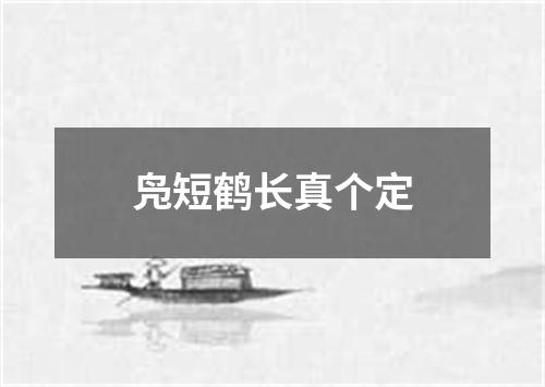 凫短鹤长真个定