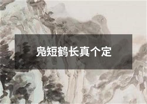 凫短鹤长真个定