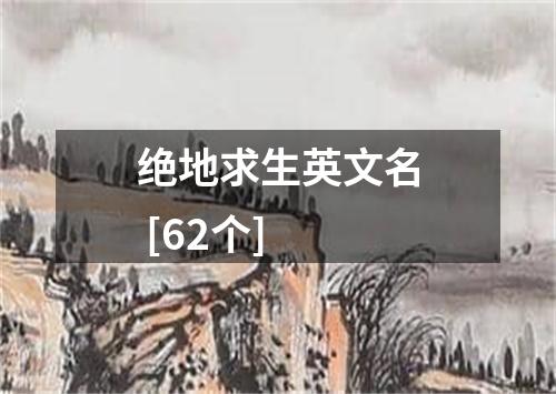 绝地求生英文名 [62个]