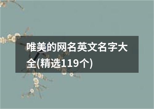 唯美的网名英文名字大全(精选119个)