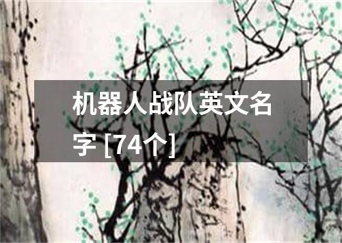 机器人战队英文名字 [74个]