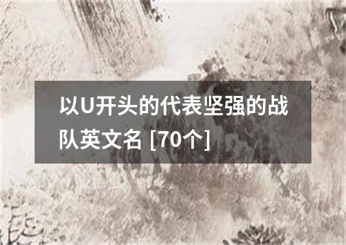 以U开头的代表坚强的战队英文名 [70个]