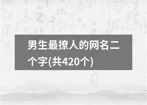 男生最撩人的网名二个字(共420个)