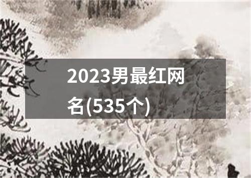 2023男最红网名(535个)