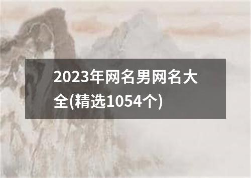 2023年网名男网名大全(精选1054个)