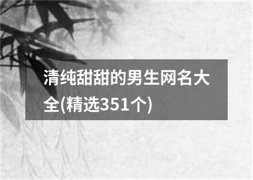 清纯甜甜的男生网名大全(精选351个)