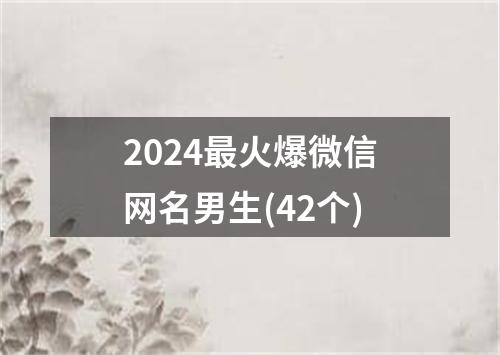 2024最火爆微信网名男生(42个)