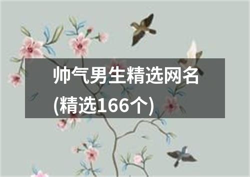 帅气男生精选网名(精选166个)