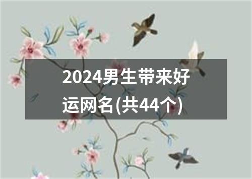 2024男生带来好运网名(共44个)