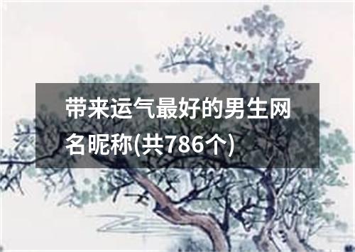 带来运气最好的男生网名昵称(共786个)