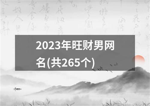 2023年旺财男网名(共265个)