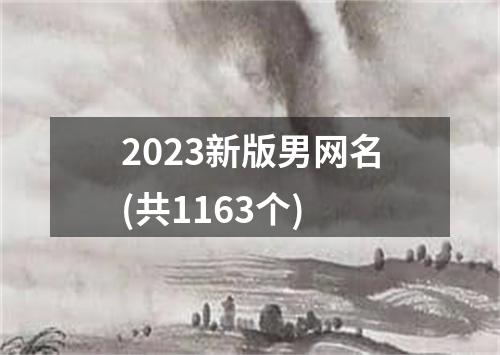 2023新版男网名(共1163个)