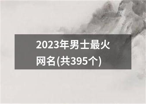 2023年男士最火网名(共395个)