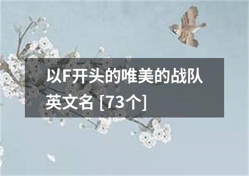 以F开头的唯美的战队英文名 [73个]