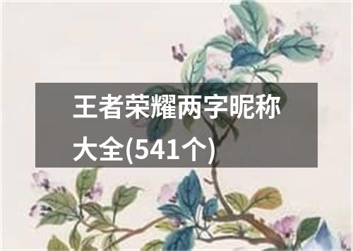 王者荣耀两字昵称大全(541个)