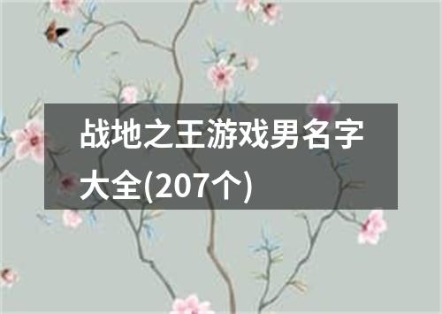 战地之王游戏男名字大全(207个)