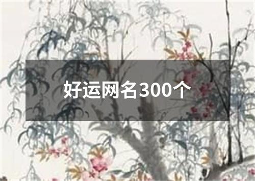 好运网名300个