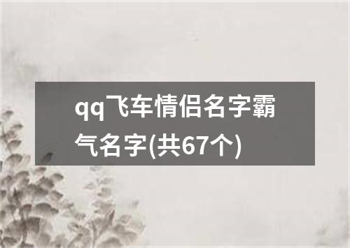 qq飞车情侣名字霸气名字(共67个)