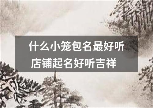 什么小笼包名最好听 店铺起名好听吉祥