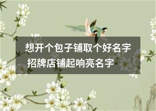 想开个包子铺取个好名字 招牌店铺起响亮名字