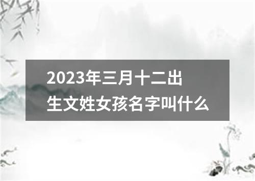 2023年三月十二出生文姓女孩名字叫什么