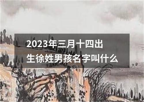 2023年三月十四出生徐姓男孩名字叫什么