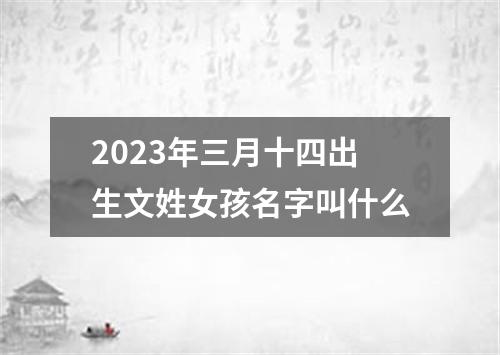 2023年三月十四出生文姓女孩名字叫什么