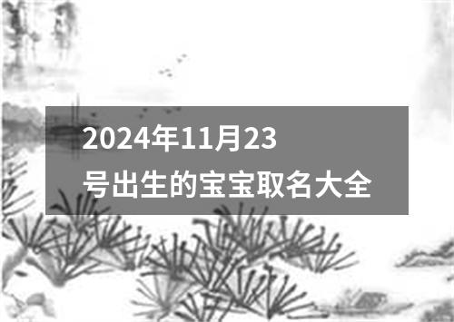 2024年11月23号出生的宝宝取名大全