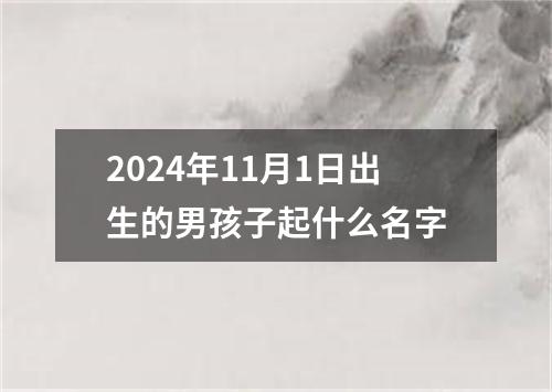 2024年11月1日出生的男孩子起什么名字