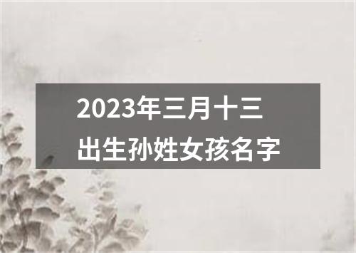 2023年三月十三出生孙姓女孩名字