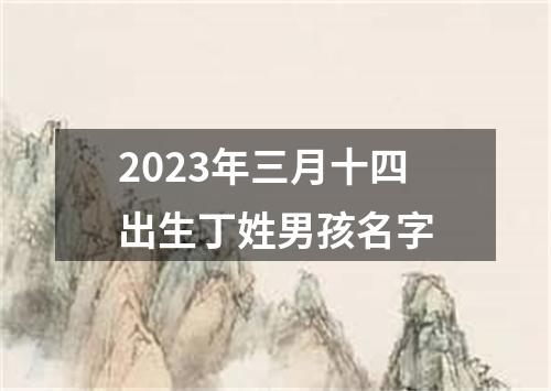 2023年三月十四出生丁姓男孩名字