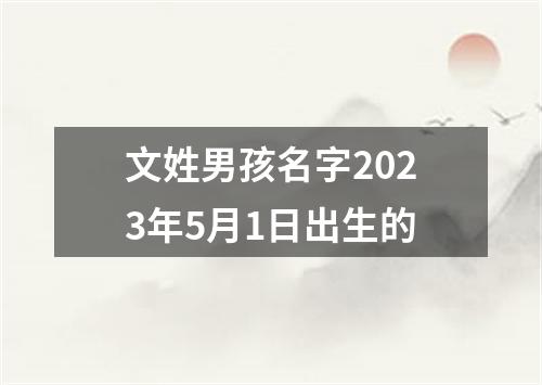 文姓男孩名字2023年5月1日出生的