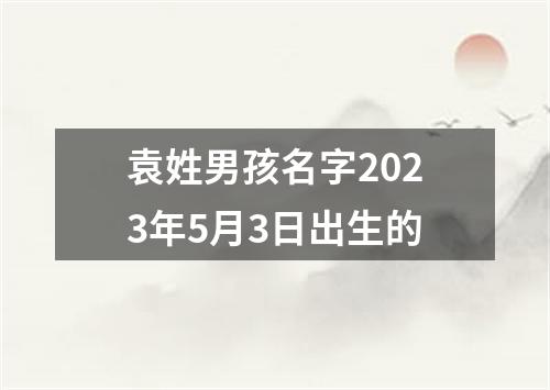 袁姓男孩名字2023年5月3日出生的