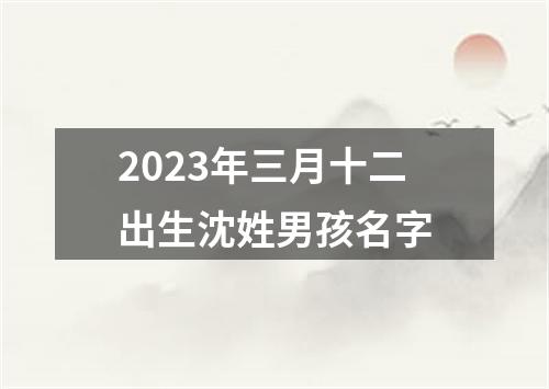 2023年三月十二出生沈姓男孩名字