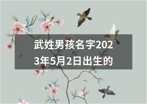 武姓男孩名字2023年5月2日出生的