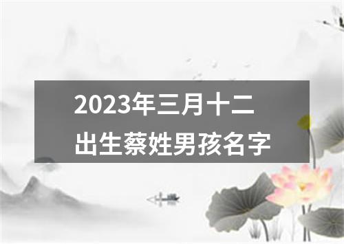 2023年三月十二出生蔡姓男孩名字