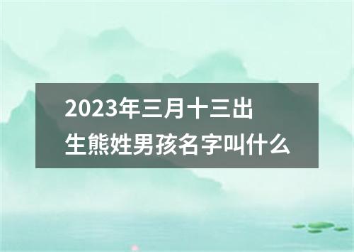 2023年三月十三出生熊姓男孩名字叫什么