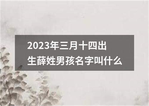 2023年三月十四出生薛姓男孩名字叫什么