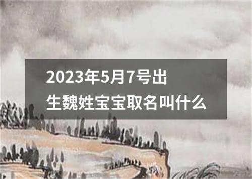 2023年5月7号出生魏姓宝宝取名叫什么