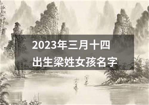 2023年三月十四出生梁姓女孩名字